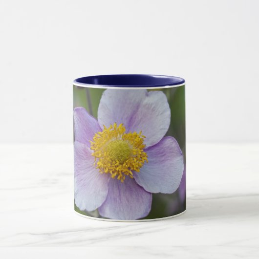 Anemon Tasse (Zentrum)