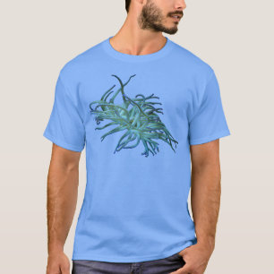 Anemone 4 T-Shirt