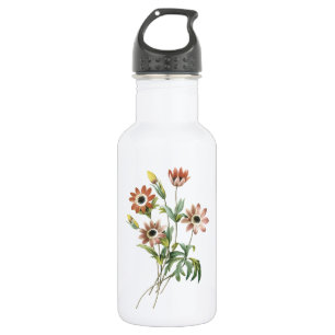 Anemone (Anemone stellata) von Redouté Trinkflasche