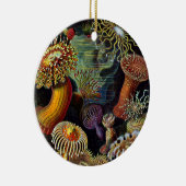 Anemone aus dem Untersee-Klassischen Rundaufkleber Keramik Ornament (Rechts)