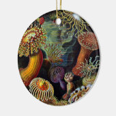 Anemone aus dem Untersee-Klassischen Rundaufkleber Keramik Ornament (Links)