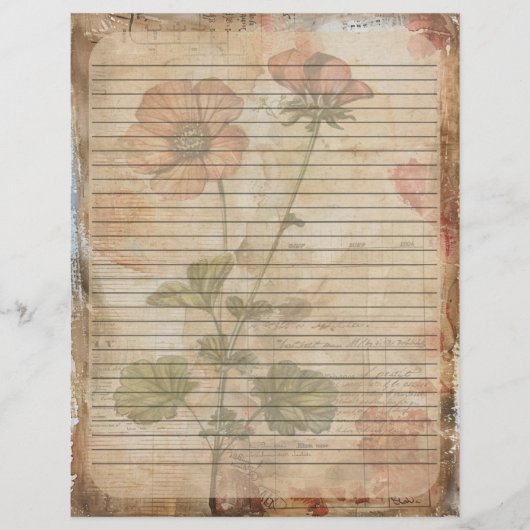 Anemone Blume Old Manuscript Briefbogen (Vorderseite)