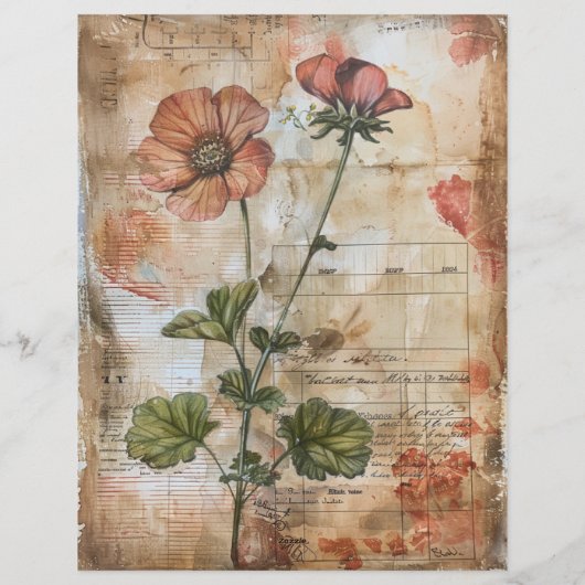 Anemone Blume Old Manuscript Briefbogen (Rückseite)