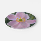 Anemone-Blume Pappteller (Schrägansicht)
