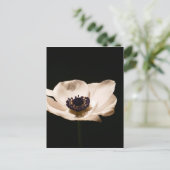 Anemone-Blume Postkarte (Stehend Vorderseite)