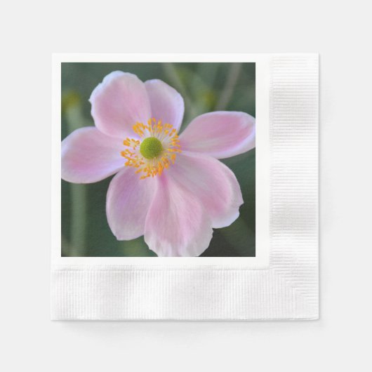 Anemone-Blume Serviette (Vorderseite)