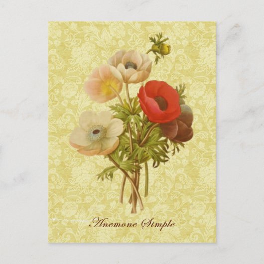 Anemone Botanisch Postkarte (Vorderseite)