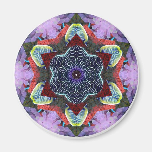 Anemone City Magnet (Vorne)