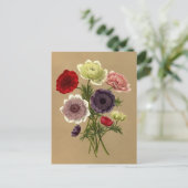 Anemone Coronaria Fl. Tel. (Doppelte Anemonen) Postkarte (Stehend Vorderseite)