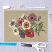Anemone Coronaria von Arentina Hendrica Arendsen Seidenpapier (Handwerk)