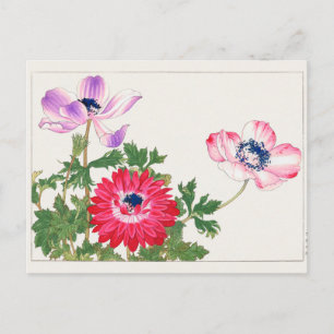 Anemone coronaria von Tanigami Konan Postkarte