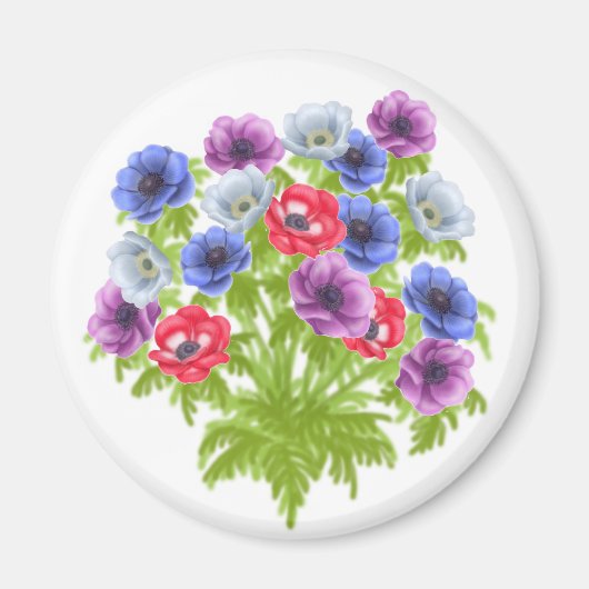 Anemone de Caen Garden Blume Magnet (Vorne)