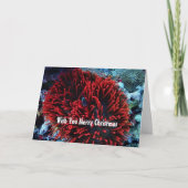 Anemone Feiertagskarte (Vorderseite)