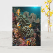 Anemone Fish Garden Karte (Gelbe Blume)