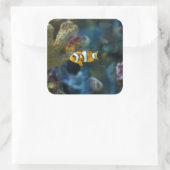 Anemone Fish Quadratischer Aufkleber (Tasche)