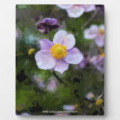 Anemone Fotoplatte (Vorderseite)