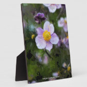 Anemone Fotoplatte (Seite)