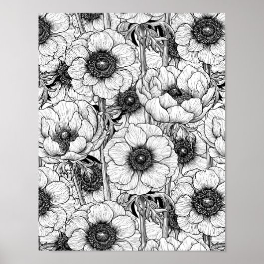 Anemone garden in black and white poster (Vorne)