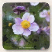 Anemone Getränkeuntersetzer (Vorderseite)