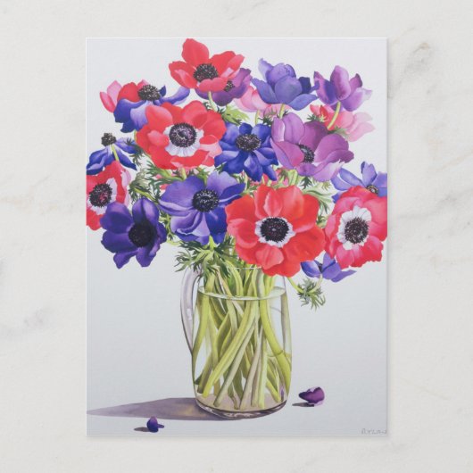 Anemone in einem Glaskrug 2007 Postkarte (Vorderseite)