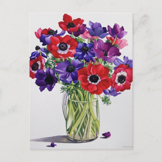 Anemone in einem Glass Jug Postkarte (Vorderseite)