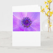 Anemone, Karte (Gelbe Blume)