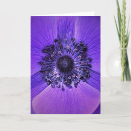 Anemone, Karte
