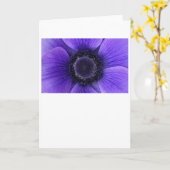 Anemone, Karte (Gelbe Blume)