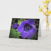 Anemone, Karte (Gelbe Blume)