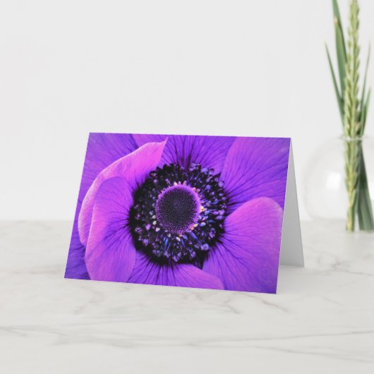 Anemone, Karte (Vorderseite)