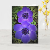 Anemone, Karte (Gelbe Blume)