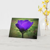 Anemone, Karte (Gelbe Blume)