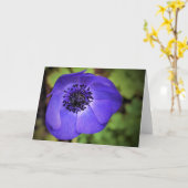 Anemone, Karte (Gelbe Blume)
