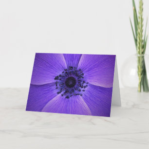 Anemone, Karte