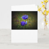 Anemone, Karte (Gelbe Blume)