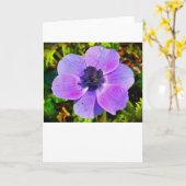 Anemone, Karte (Gelbe Blume)