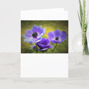 Anemone, Karte