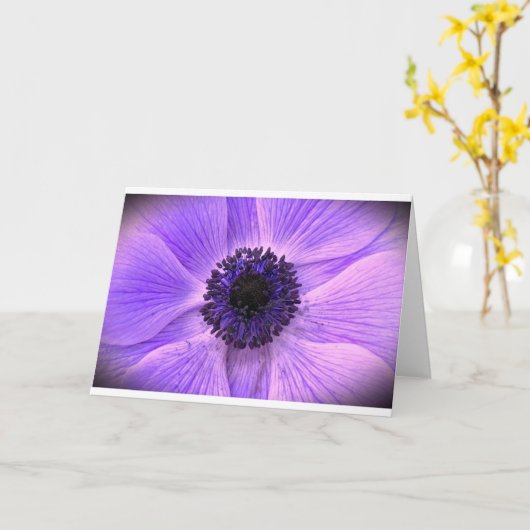 Anemone, Karte (Gelbe Blume)