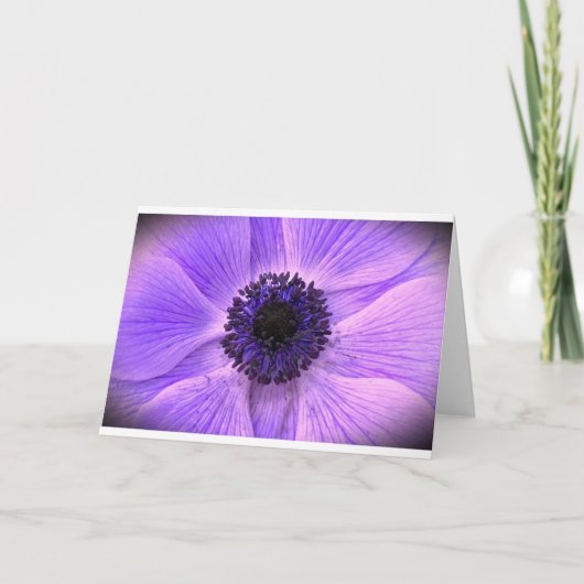 Anemone, Karte (Vorderseite)