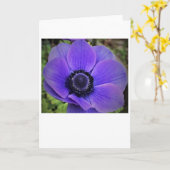 Anemone, Karte (Gelbe Blume)