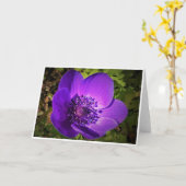 Anemone, Karte (Gelbe Blume)