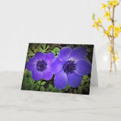 Anemone, Karte (Gelbe Blume)