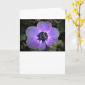 Anemone, Karte (Gelbe Blume)