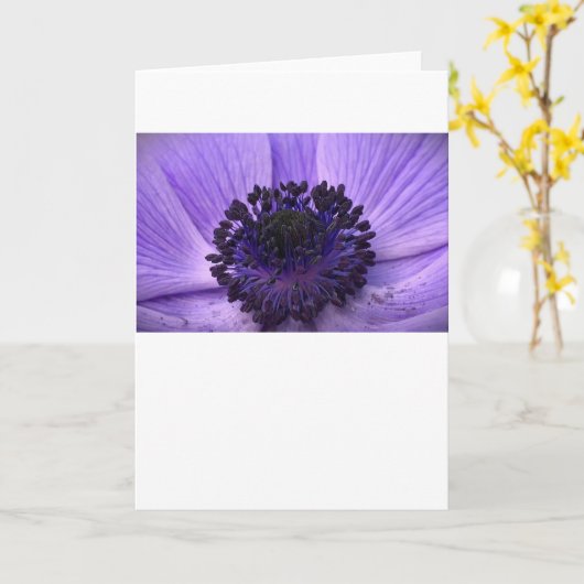 Anemone, Karte (Gelbe Blume)