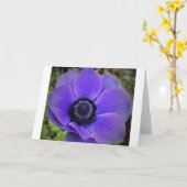 Anemone, Karte (Gelbe Blume)