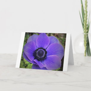 Anemone, Karte