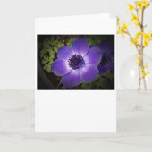 Anemone, Karte (Gelbe Blume)