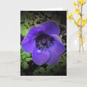 Anemone, Karte (Gelbe Blume)