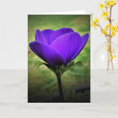 Anemone, Karte (Gelbe Blume)