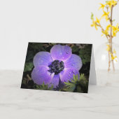 Anemone, Karte (Gelbe Blume)